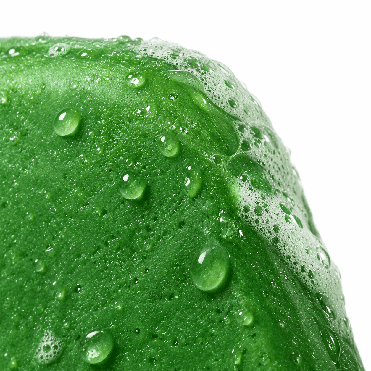 De Rootrise Scalp Bar